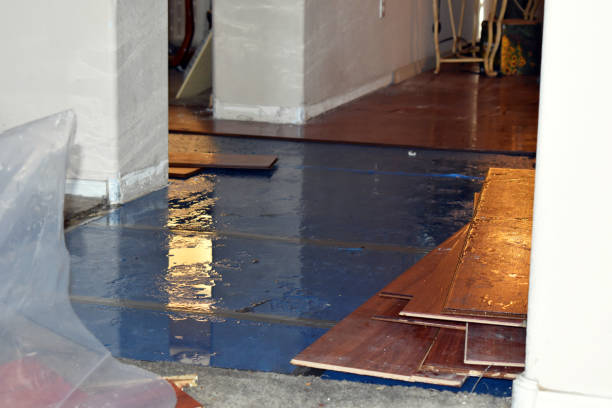 Professional Basement Flooding technician working in Makinen, MN